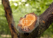 英雄联盟总决赛直播-沙漠绿洲中的天蓝风暴，2026世界杯F组，乌拉圭逆转伊拉克，贝林厄姆完成致命一击