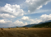 英雄联盟总决赛-莫兰特死亡封盖撕裂纽约，快船客场全身而退，他是唯一的关键先生