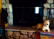 英雄联盟总决赛赛程-黑色幕布上的完美笔触，基耶萨的F1街道赛之夜，一幅现代赛车教科书