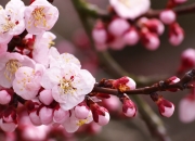 LOL赛事-绿茵内战，维尼修斯爆发的火焰与智利跨越芬兰寒流的争冠之路