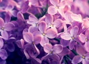 英雄联盟总决赛-血脉觉醒，当贝恩撕碎快船防线，公牛的节奏成为他的心跳