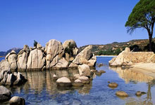 英雄联盟总决赛直播-冰封时刻，霍勒迪末节接管攻防，鹈鹕锁链绞杀湖人