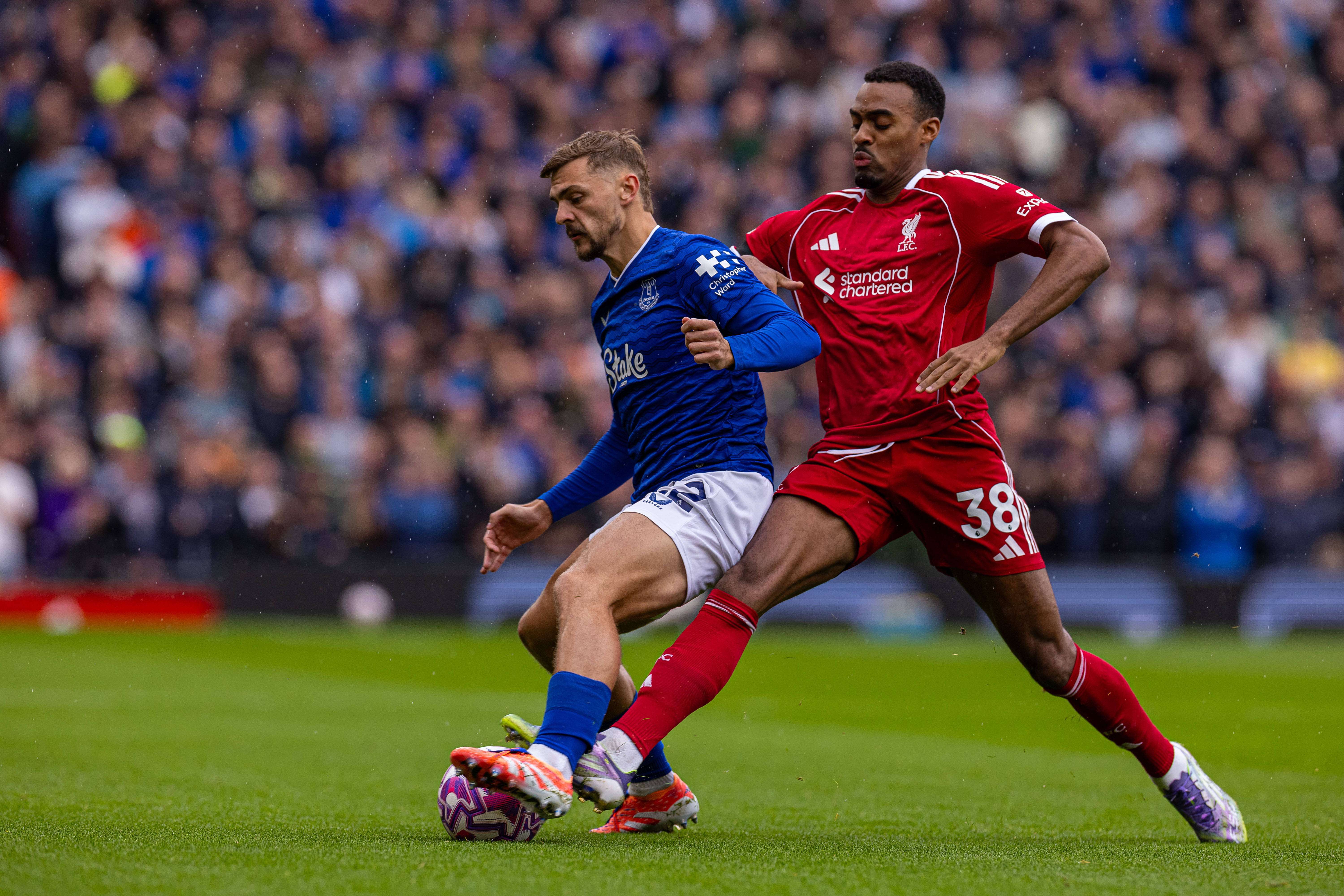 关于布莱顿主场逼平西汉姆联,保持不败的信息 关于布莱顿主场逼平西汉姆联,保持不败的信息