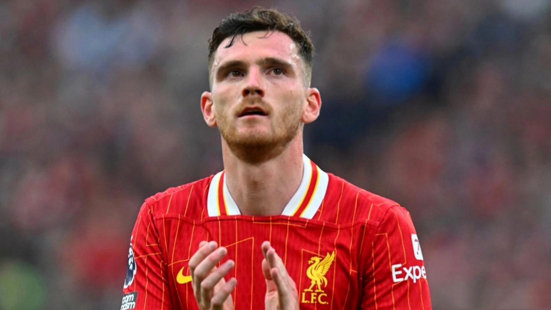 包含利物浦官方宣布签下年轻后卫,球迷期待他的表现的词条 包含利物浦官方宣布签下年轻后卫,球迷期待他的表现的词条