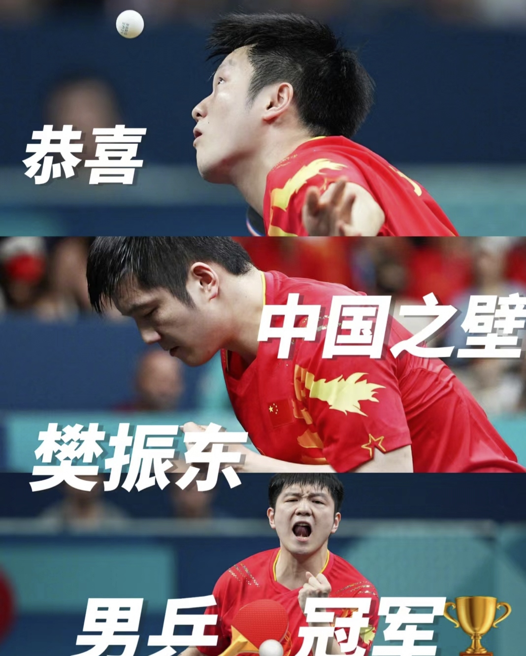 法国队轻取中国队，樊振东惊艳四座