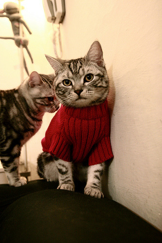 唯一低效夜晚竟成制胜一击!雄鹿逆转火箭,克莱末节觉醒的关键价值