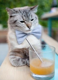 硬仗之王的交响曲,西甲国家德比之夜与西亚卡姆的传奇