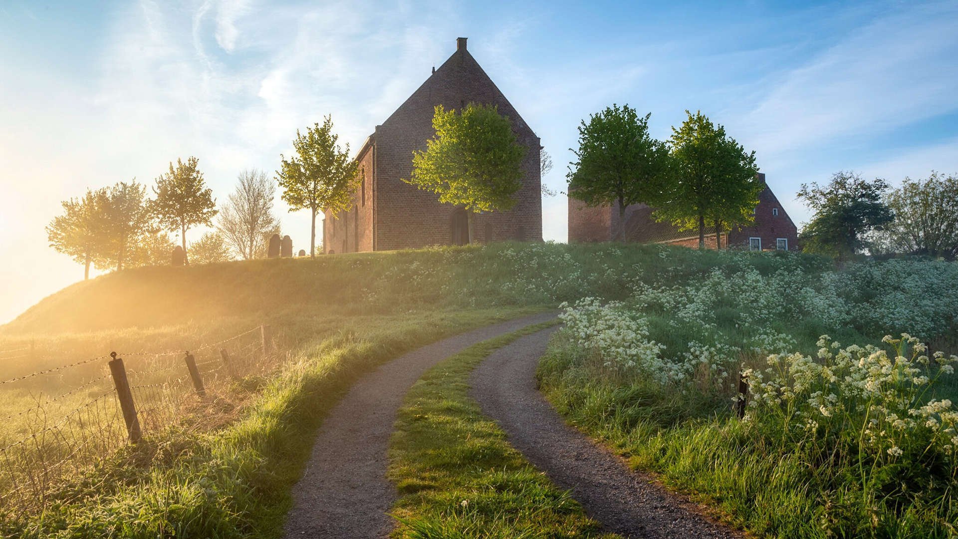 韧性风暴，哥伦比亚窒息压制，揭秘美加墨世界杯焦点战的战术玄机