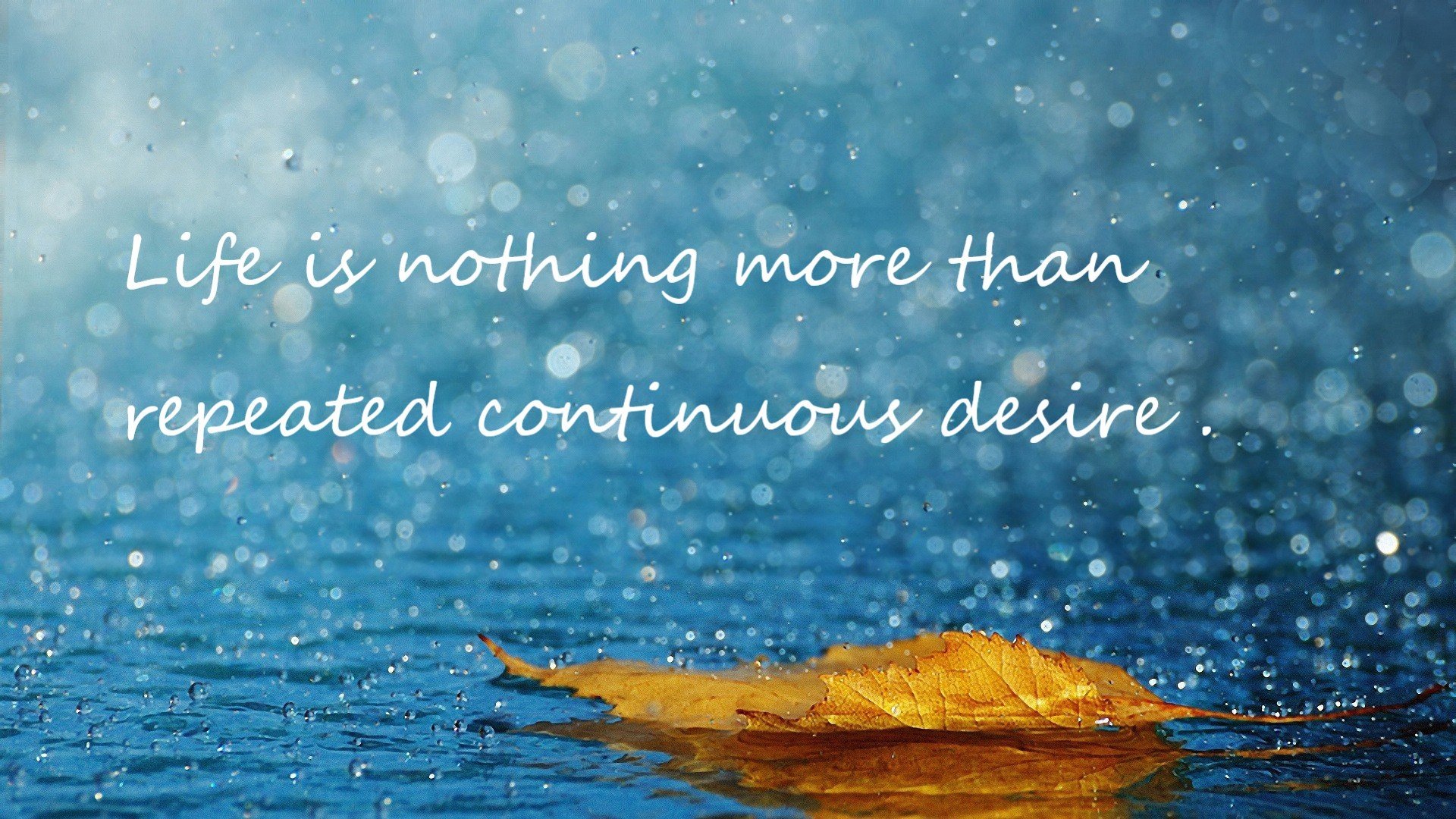 一剑封喉！卡瓦哈尔爆发引领秘鲁战术完胜，正面击溃马里