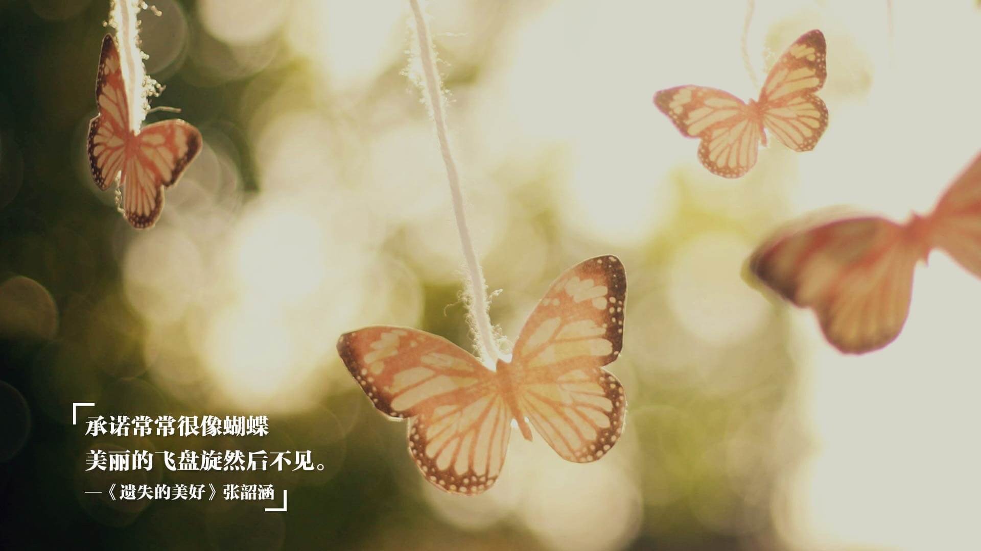 极速与绝境，当F1揭幕战邂逅荷兰生死战