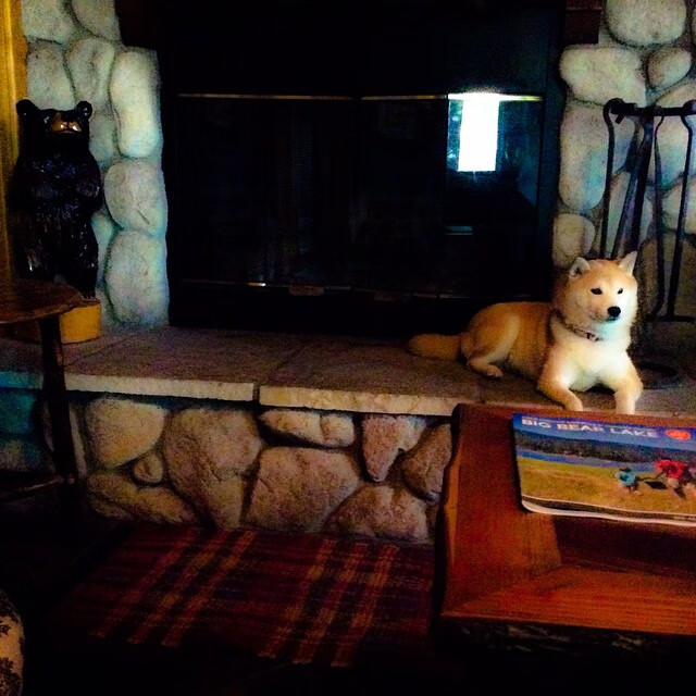 黑色幕布上的完美笔触,基耶萨的F1街道赛之夜,一幅现代赛车教科书