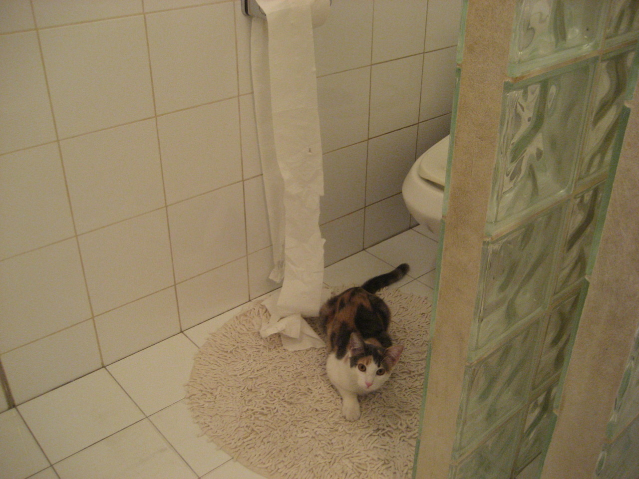 吉林队掀翻独行侠！武切维奇长春上演魔幻一夜