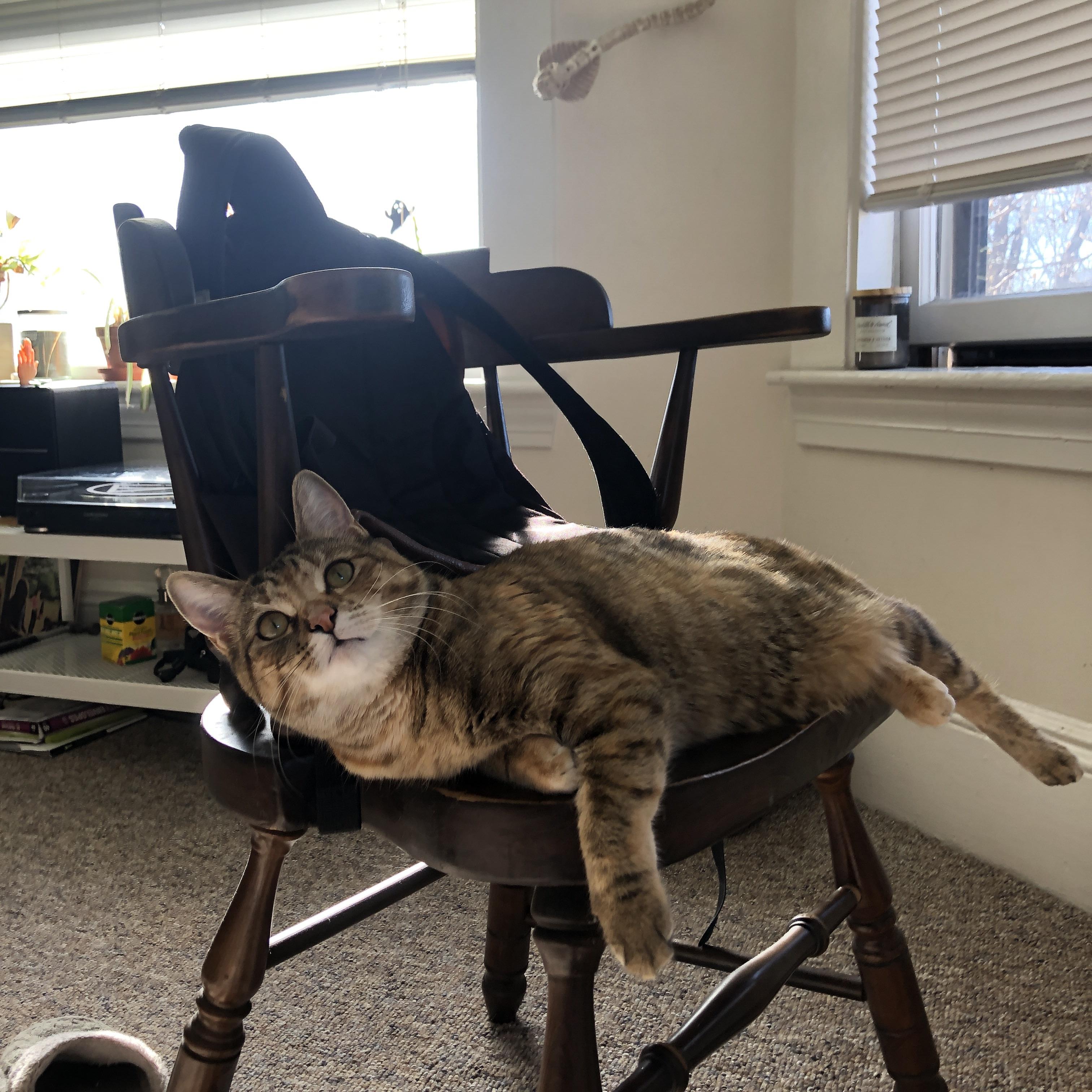 当老鹰掠过圣西罗，弱者的血脉里，都住着一只待命的猛禽