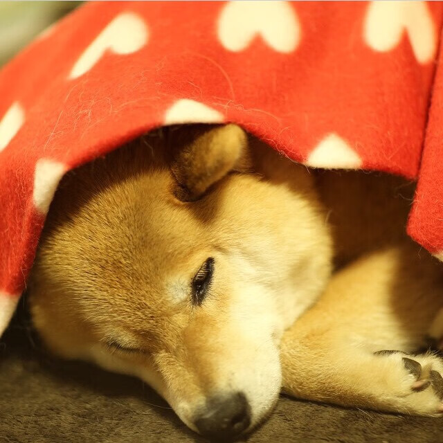 沙特的金箔与塞维利亚的锈，当足球成为流动的盛宴