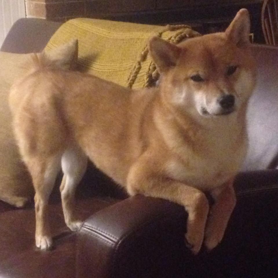 绝境再造神迹,C罗唯一一次助天蓝军团力克蓝月