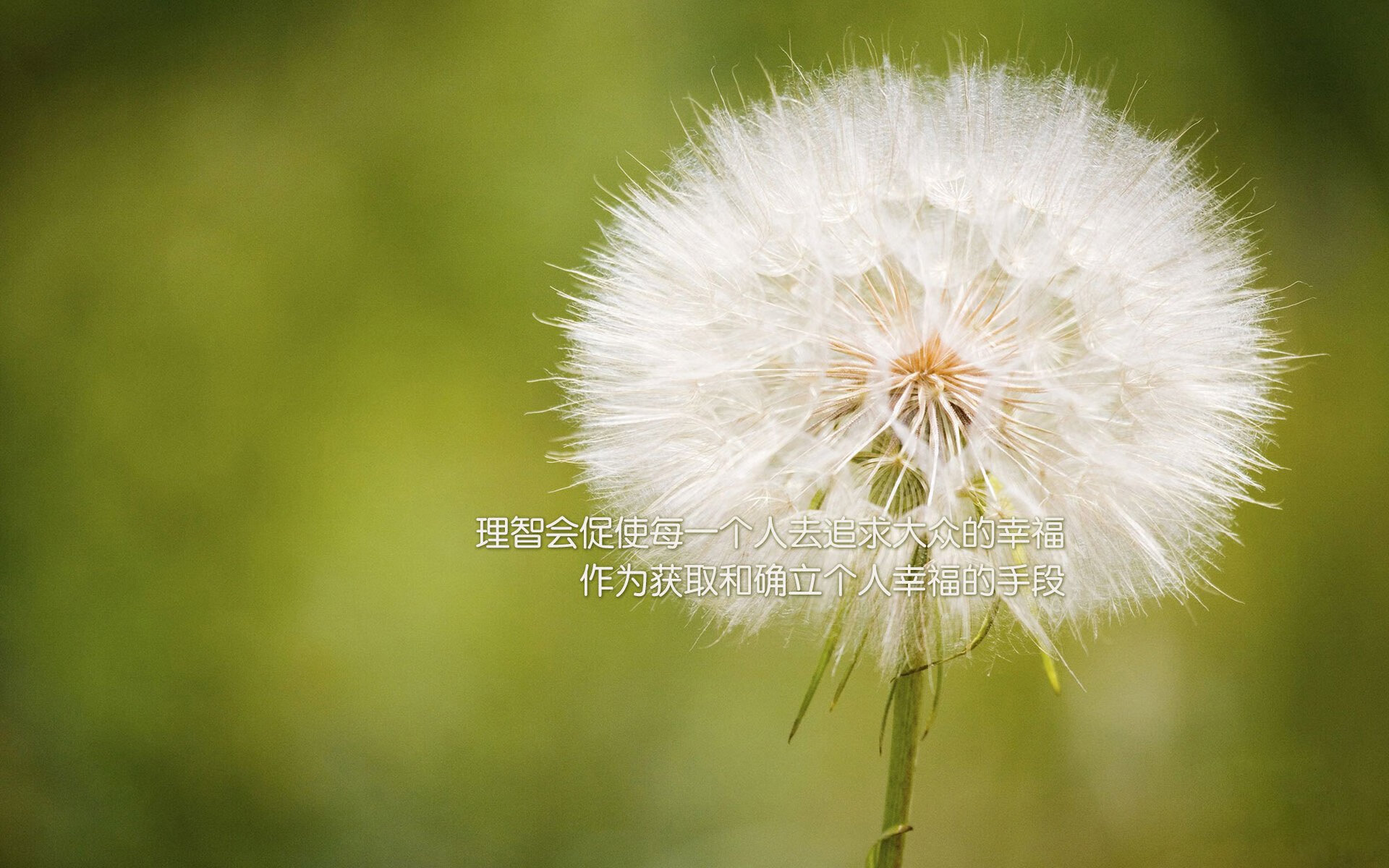 活塞式节奏绞杀广厦,浓眉化身关键先生定乾坤