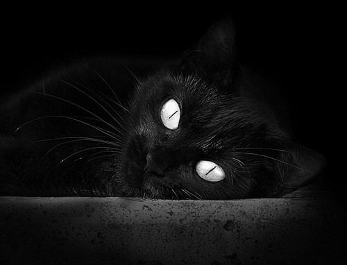 铁幕下的奇袭,塞维利亚用完美牢笼锁死马竞,特奥为何成为西蒙尼体系的全新解题人?