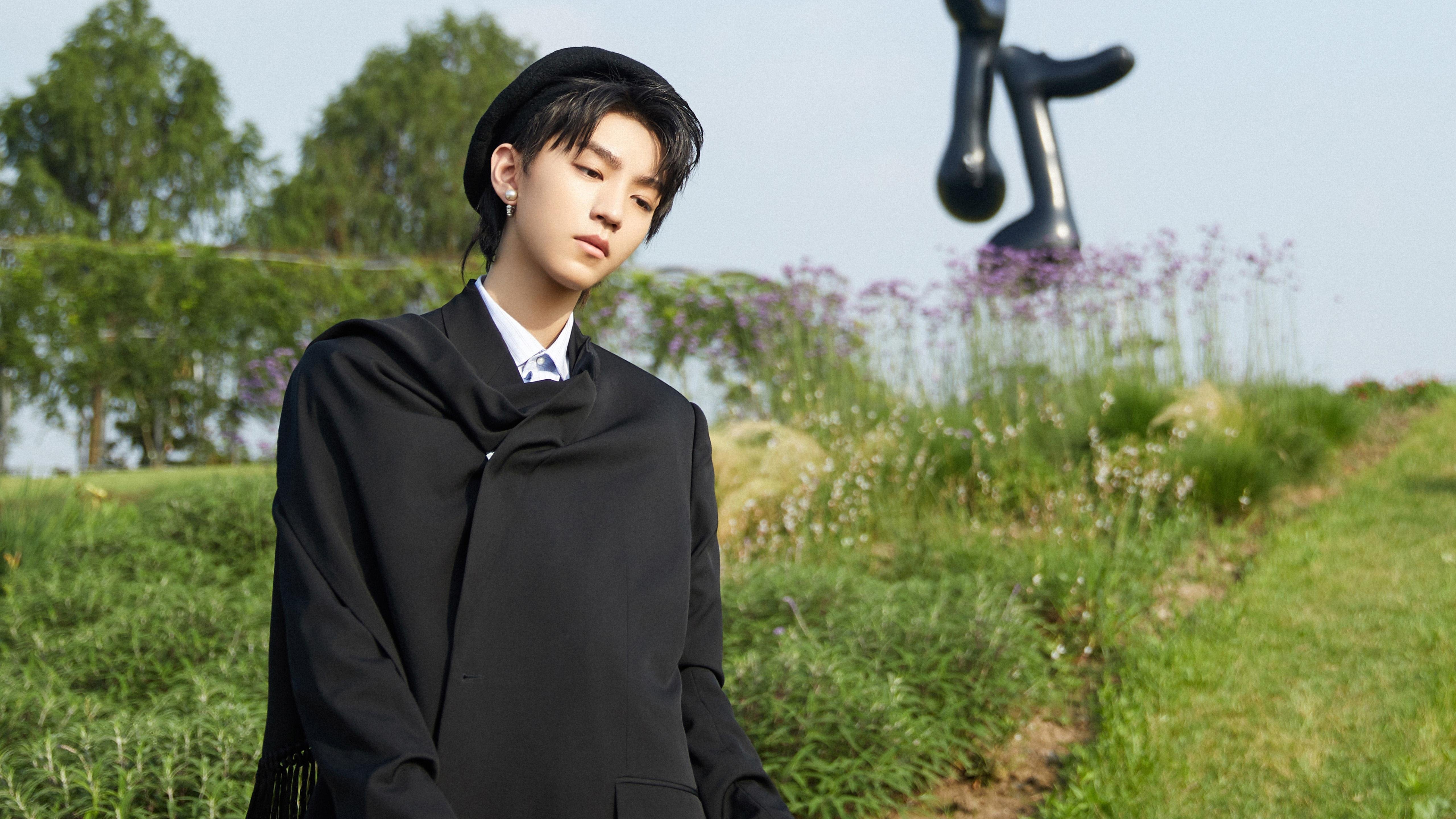 替补席上的统治者,范弗利特,一个非典型巨星的终极答案